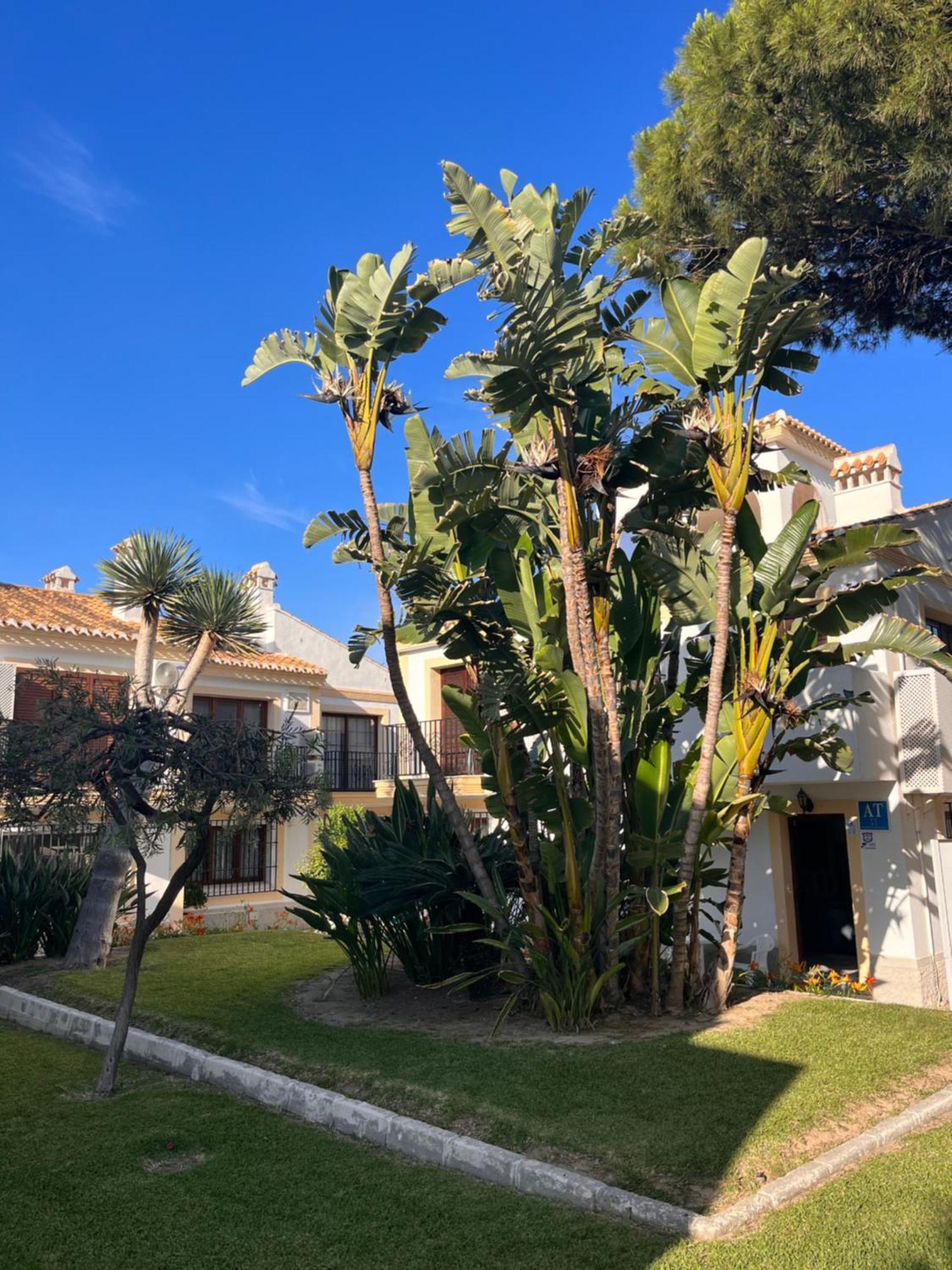 Apartamento Esquina Verde En Vera Coast Playas de Vera Luaran gambar